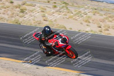 media/Nov-11-2023-SoCal Trackdays (Sat) [[efd63766ff]]/Turn 12 Inside (940am)/